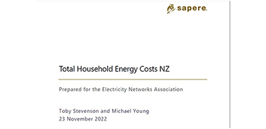 Sapere report on total household energy costs image