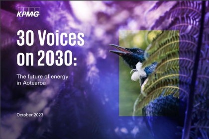 30 Voices on 2030 image